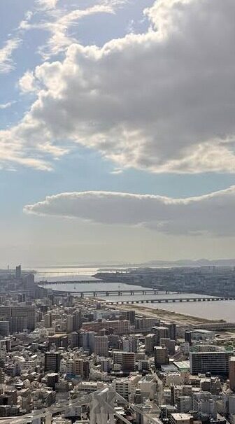 世界杯冠军志怎么样-世界杯冠军志，梦想与荣耀的征程